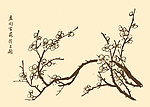 芥子园画谱 梅花