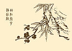 芥子园画谱 梅花