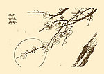 芥子园画谱 梅花