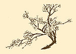 芥子园画谱 梅花