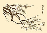 芥子园画谱 梅花