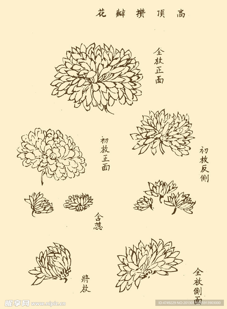 芥子园画谱