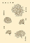芥子园画谱