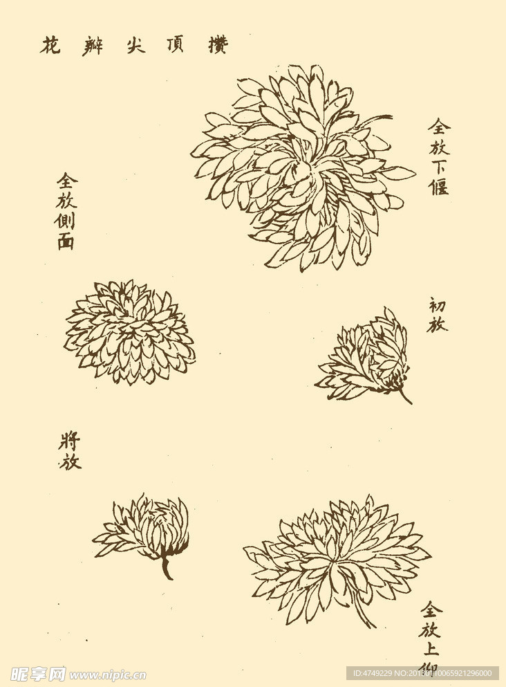 芥子园画谱