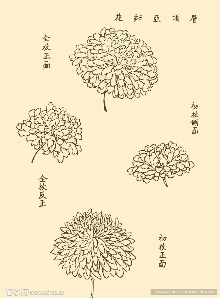 芥子园画谱