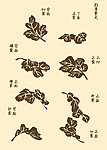 芥子园画谱
