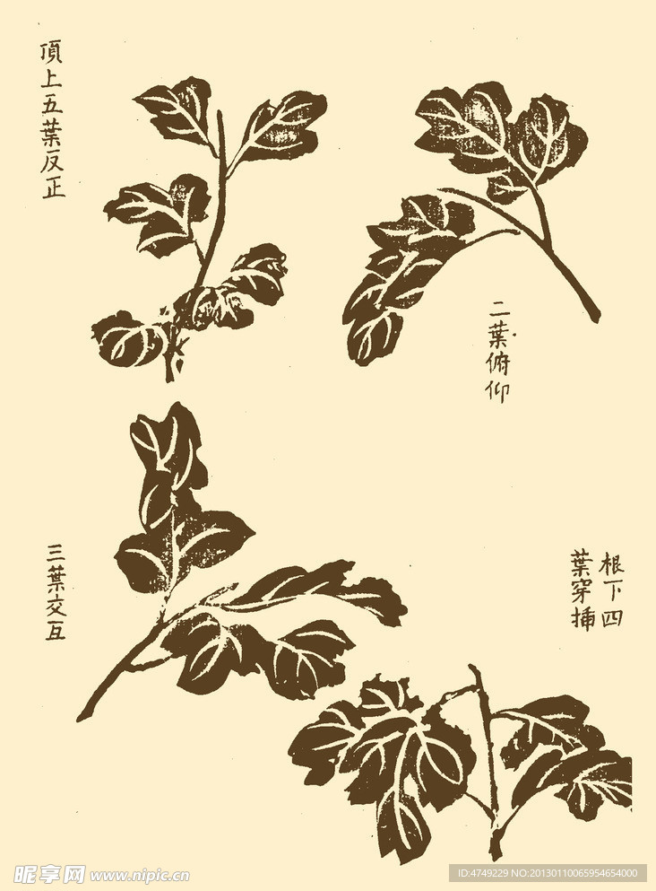 芥子园画谱