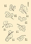 芥子园画谱