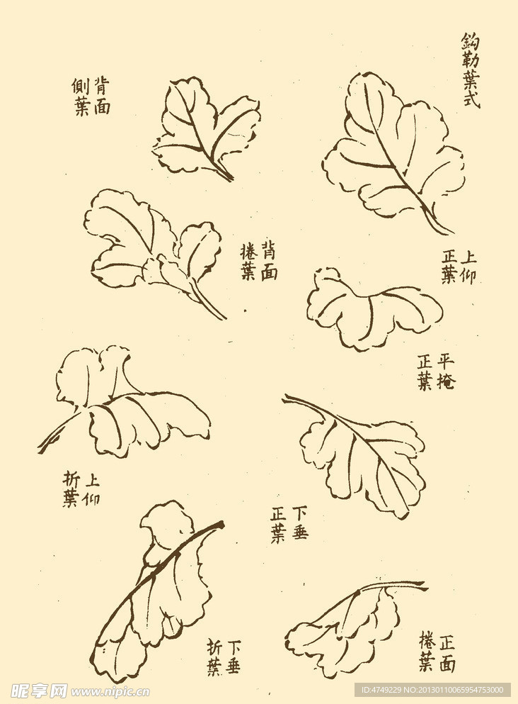 芥子园画谱