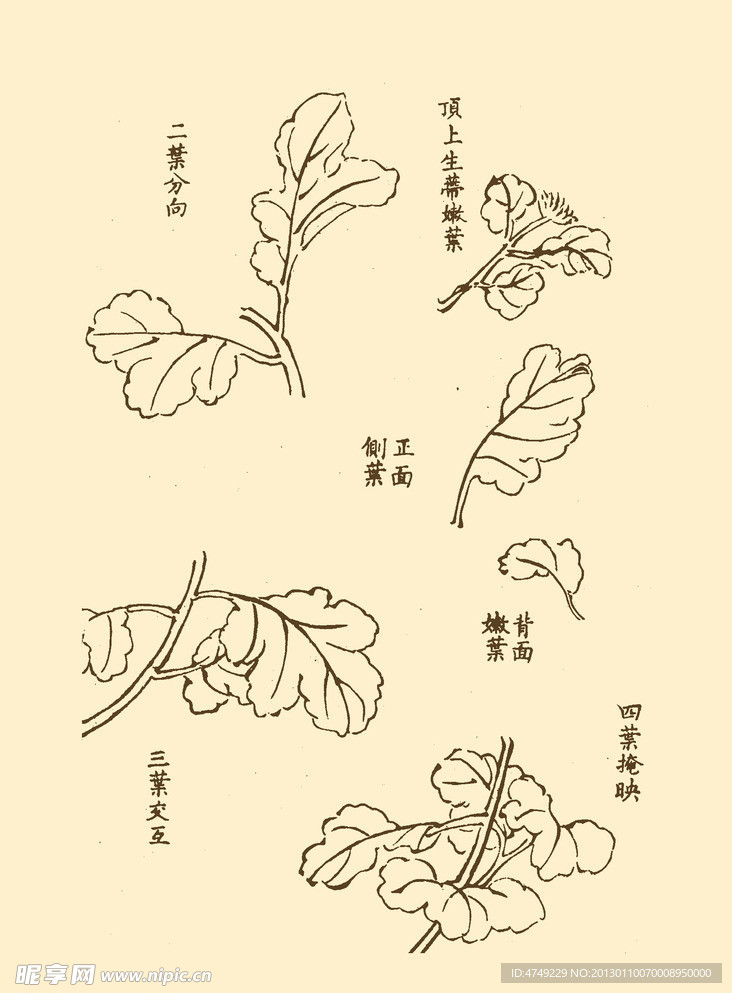 芥子园画谱