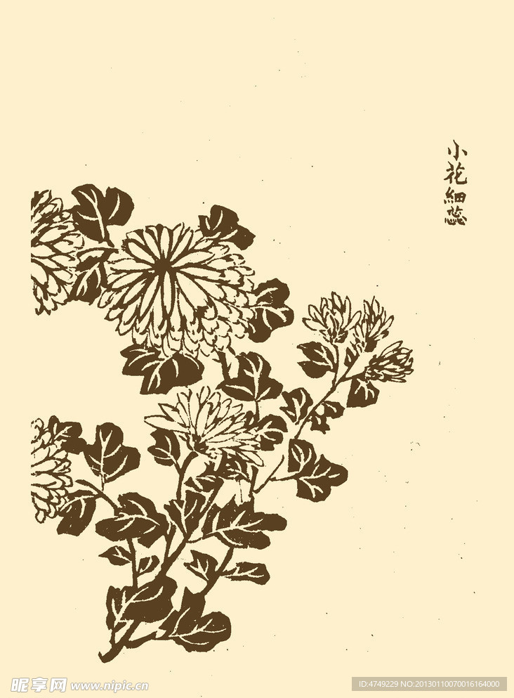 芥子园画谱 菊花