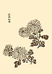 芥子园画谱 菊花