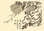 芥子园画谱 菊花