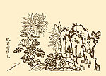 芥子园画谱 菊花
