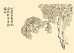 芥子园画谱 菊花
