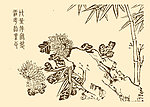 芥子园画谱 菊花