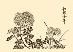 芥子园画谱 菊花