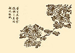 芥子园画谱 菊花
