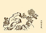 芥子园画谱 菊花