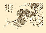 芥子园画谱 菊花