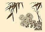 芥子园画谱 菊花