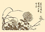 芥子园画谱 菊花