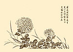 芥子园画谱 菊花