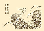 芥子园画谱 菊花