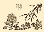 芥子园画谱 菊花