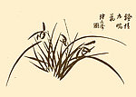 芥子园画谱 兰花