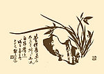 芥子园画谱 兰花