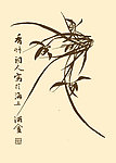 芥子园画谱 兰花