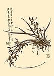 芥子园画谱 兰花