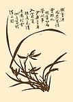 芥子园画谱 兰花