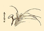 芥子园画谱 兰花