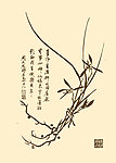 芥子园画谱 兰花