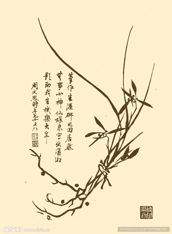 芥子园画谱 兰花