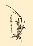 芥子园画谱 兰花