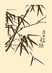 芥子园画谱 竹