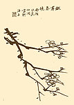 芥子园画谱 梅花