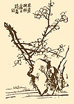 芥子园画谱 梅花