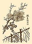 芥子园画谱 菊花