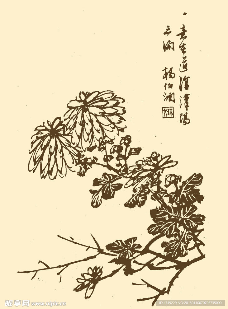 芥子园画谱 菊花