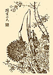 芥子园画谱 菊花