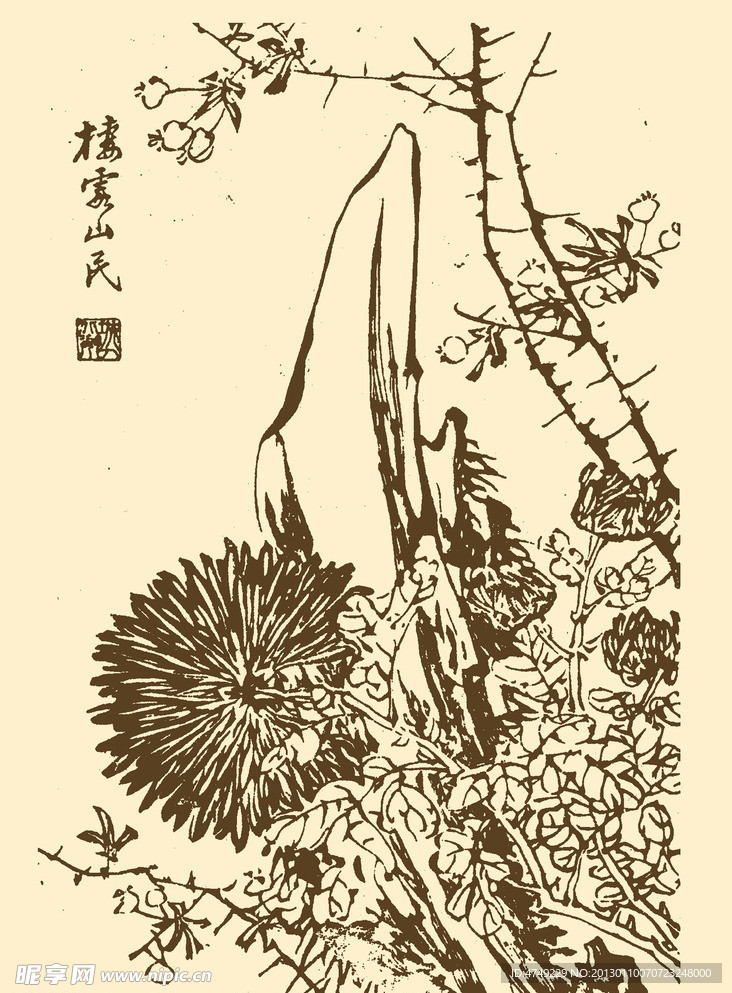 芥子园画谱 菊花