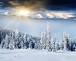 雪景
