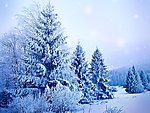 雪景