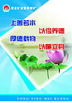 上善若水