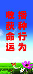 播种行为 收获命运