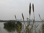 海珠湖